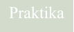 Praktika